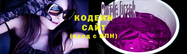крисы Бугульма