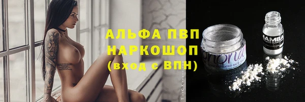 прущие грибы Заволжье