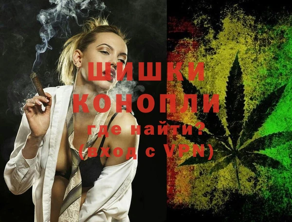 МДПВ Бронницы