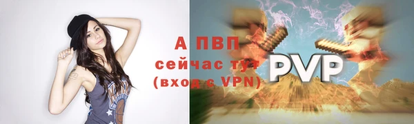 крисы Бугульма