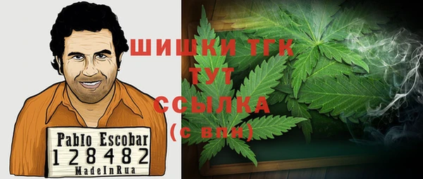МДПВ Бронницы