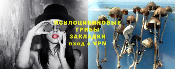 марки lsd Бородино