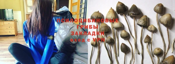 ГАЛЛЮЦИНОГЕННЫЕ ГРИБЫ Лагань