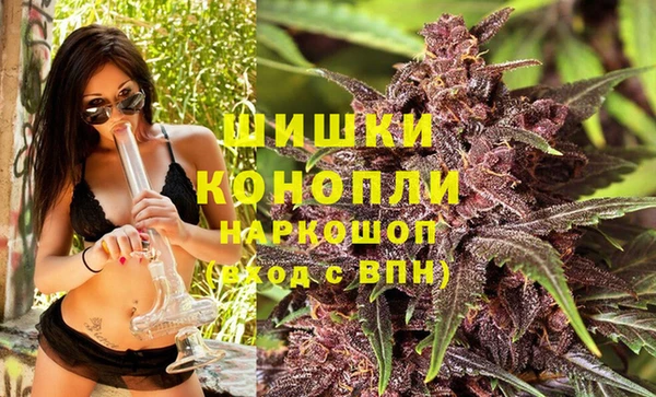 крисы Бугульма